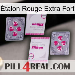 Étalon Rouge Extra Fort 33